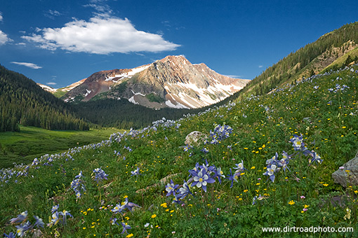 rolling mountain and columbines dirt road photo alexander albrecht San Juan National Forest 510x340